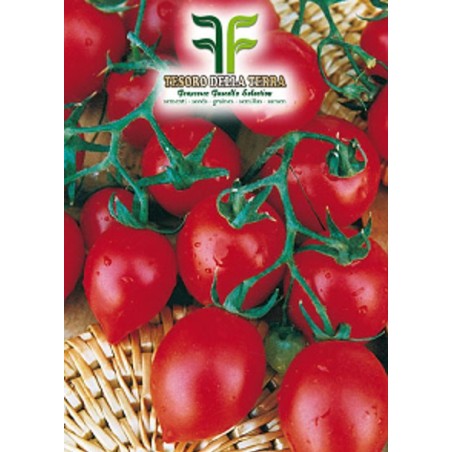 Pomodoro Fiaschetto Piccolo