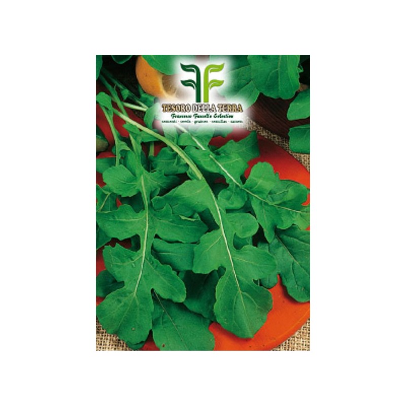 Rucola "Da Orto"