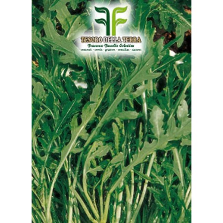 Rucola "Selvatica Frastagliata"