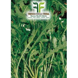 Rucola "Selvatica Frastagliata"