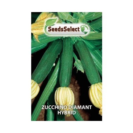 Zucchino "Diamant Hybrid "