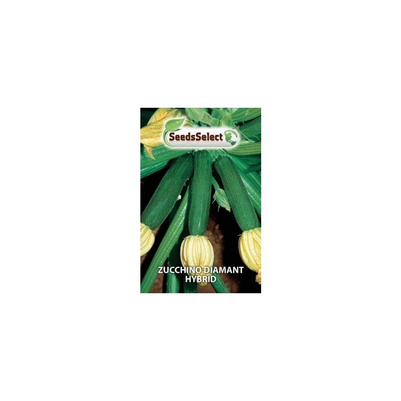 Zucchino "Diamant Hybrid "