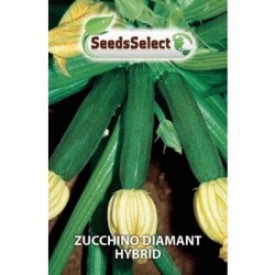 Zucchino "Diamant Hybrid "