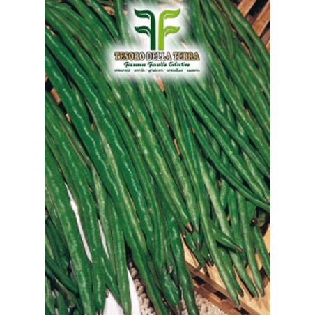 Fagiolo Nano Mangiatutto Dolico Pinto 50 gr