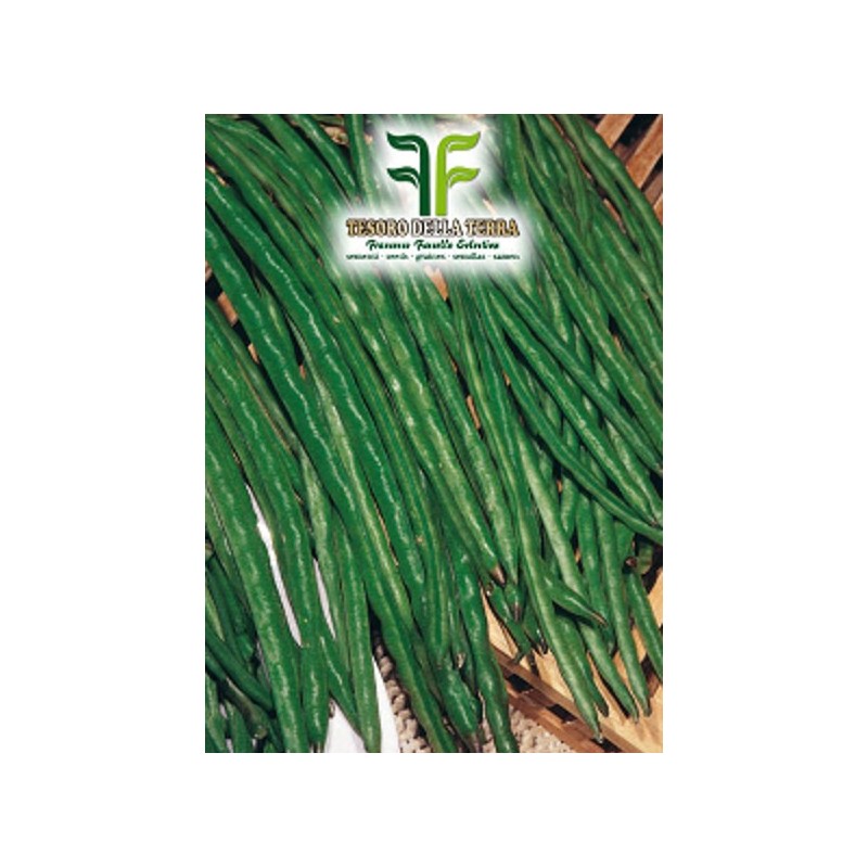 Fagiolo Nano Mangiatutto Dolico Pinto 50 gr