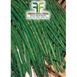 Fagiolo Nano Mangiatutto Dolico Pinto 50 gr