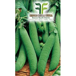 Pisello Mezza Rama Rondo da 0.5Kg