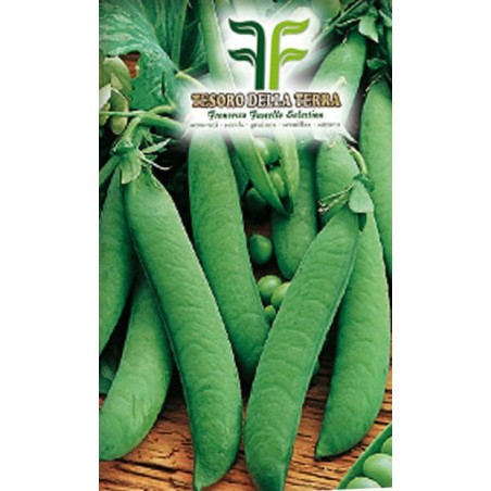 Pisello Mezza Rama Rondo da 1Kg