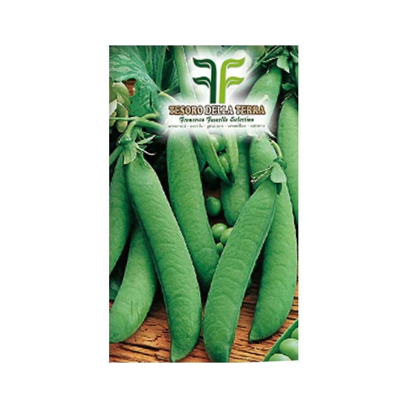 Pisello Mezza Rama Rondo da 1Kg