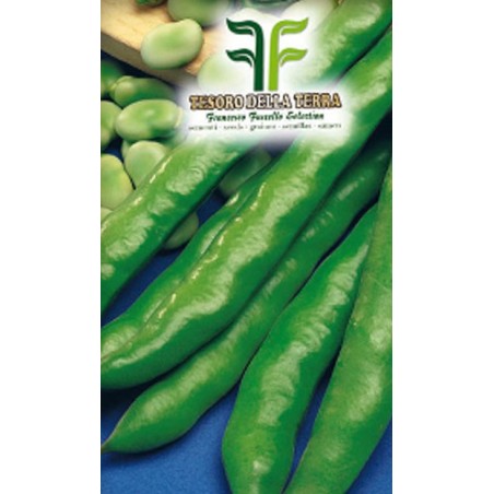 Fava spadaverde a Baccello Lunghissimo da 1Kg