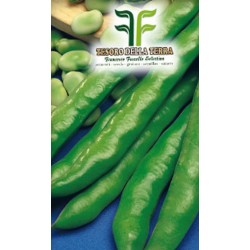 Fava Simonia Origine Marocco a Baccello Lunghissimo da 1Kg