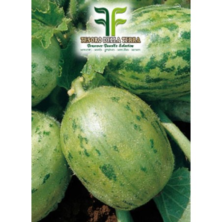 Carosello Tondo di Manduria