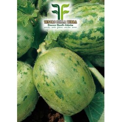 Carosello Tondo di Manduria