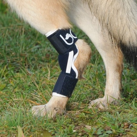 Tutore del garretto Balto BT HOCK Taglia: M