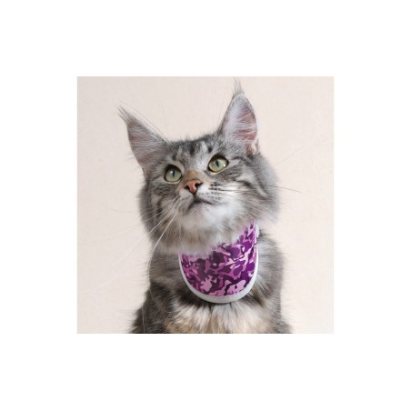 Collare rigido Balto BT NECK CAT Pink