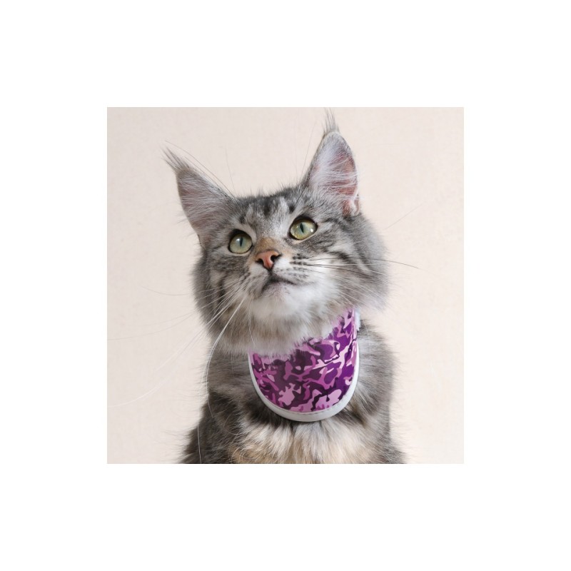 Collare rigido Balto BT NECK CAT Pink