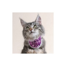 Collare rigido Balto BT NECK CAT Pink