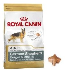ROYAL CANIN German Shepherd Adult 24 da kg 12 (3,375/kg)