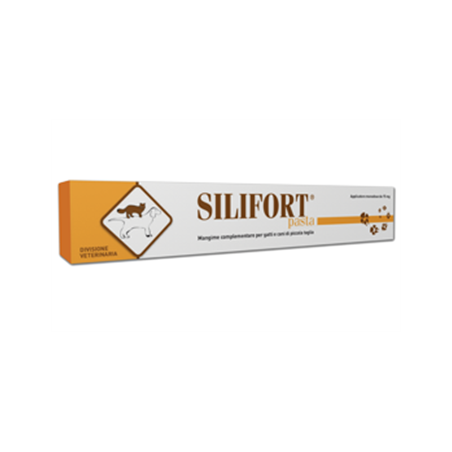 Silifort Pasta "Siringa da 30 g"