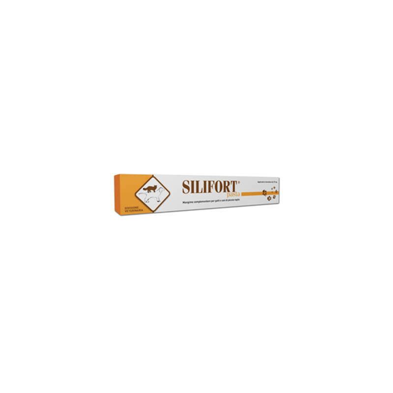 Silifort Pasta "Siringa da 30 g"