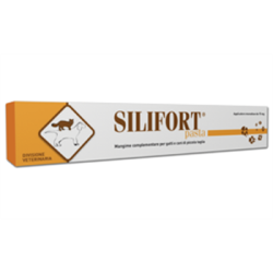 Silifort Pasta "Siringa da 30 g"