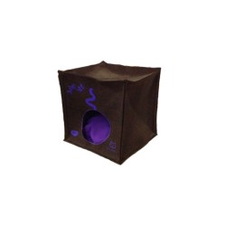 Kube Cat 