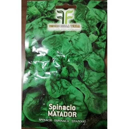 Spinacio Matador