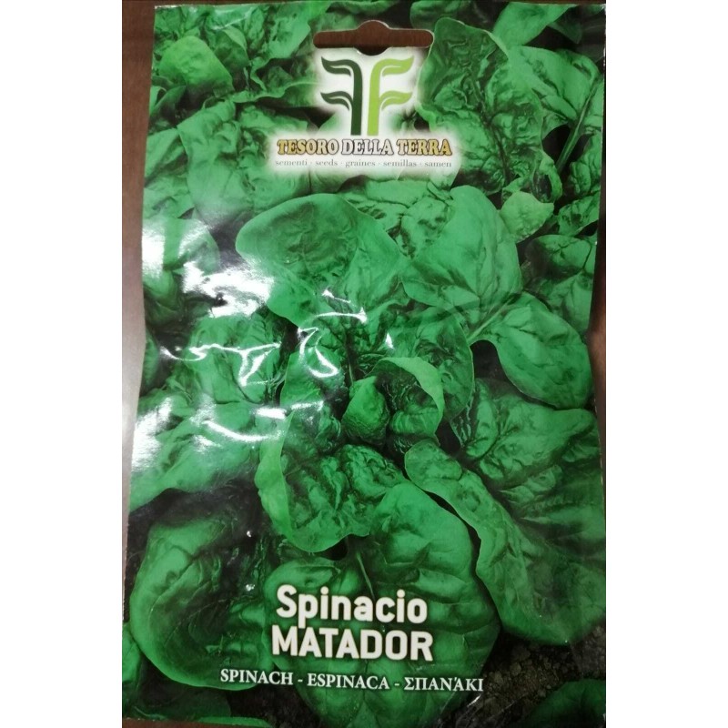 Spinacio Matador