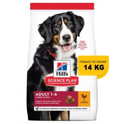 Hill's Science Plan Canine Adult Advanced Fitness Large Breed con Pollo 14 Kg  secco ex 12 kg  OFFERTA  € 3,49 / kg 