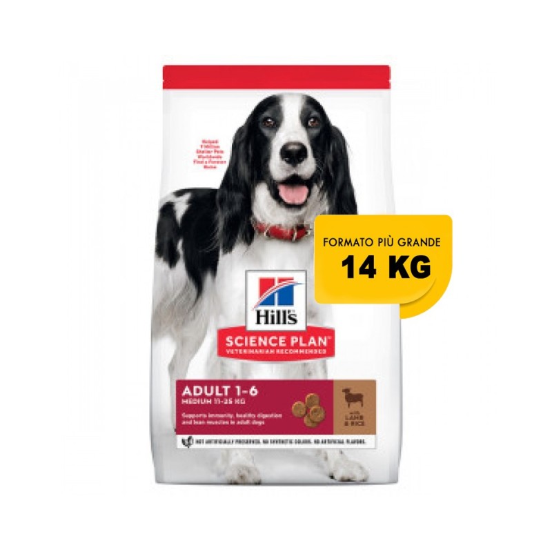 Hill's Science Plan Canine Adult Advanced Fitness Medium Agnello & Riso 14 Kg secco ex 12 kg OFFERTA € 3,60 / kg 
