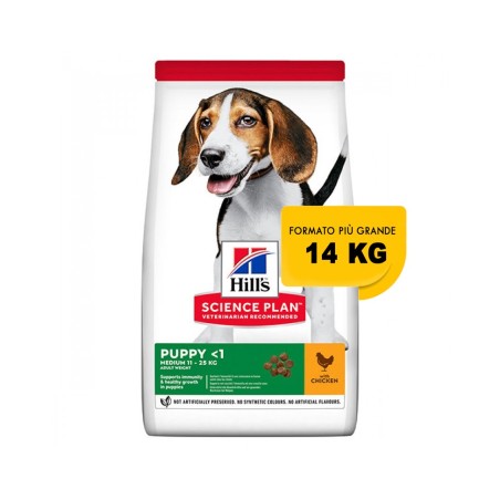 Hill's Science Plan Puppy Healthy Development Medium Chicken Pollo 14 Kg secco ex 12 kg OFFERTA € 3,45 / kg