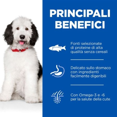 Hill's Science Plan Hypoallergenic No Grain Adult Large Breed Dog al Salmone da kg 14