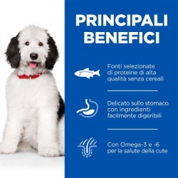 Hill's Science Plan Hypoallergenic No Grain Adult Large Breed Dog al Salmone da kg 14