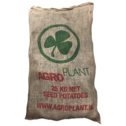 Patate da Semina Spunta Pezzatura 55/65 certificata Olandese AgroPlant Tuberi al kg Pasta Gialla 