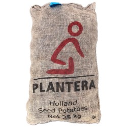 Patate da Semina Nicola Pezzatura 55/60 Certificata Olandese Plantera Tuberi Pasta Gialla al kg