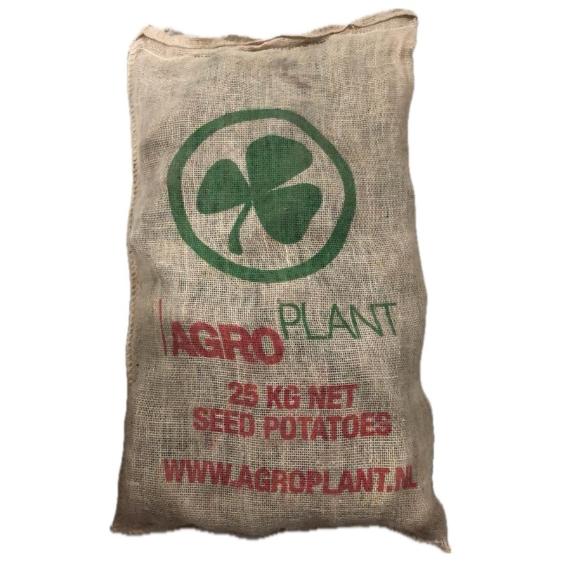 Patate da Semina Spunta Pezzatura 55/65 certificata Olandese AgroPlant Tuberi kg 25  Pasta Gialla 
