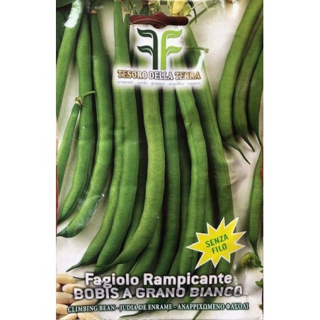 Fagiolo Rampicante Bobis a Grano Bianco 50gr Senza Filo