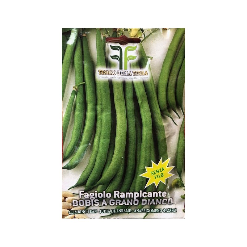 Fagiolo Rampicante Bobis a Grano Bianco 50gr Senza Filo