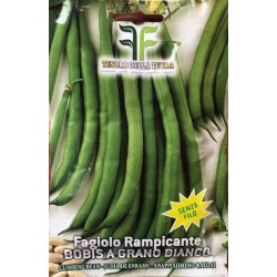 Fagiolo Rampicante Bobis a Grano Bianco 50gr Senza Filo