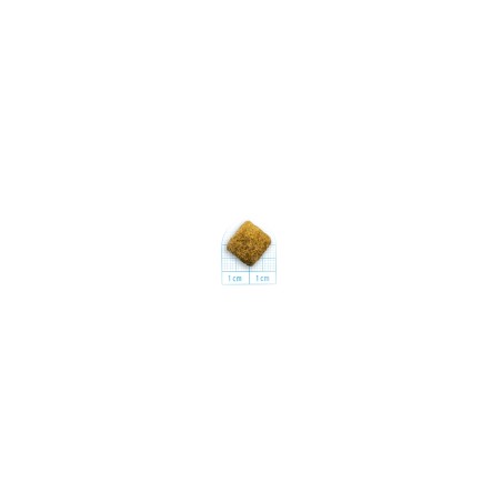 Forza 10 Active Line Intestinal Colon Fase I Pesce Crocchette cane da kg 10