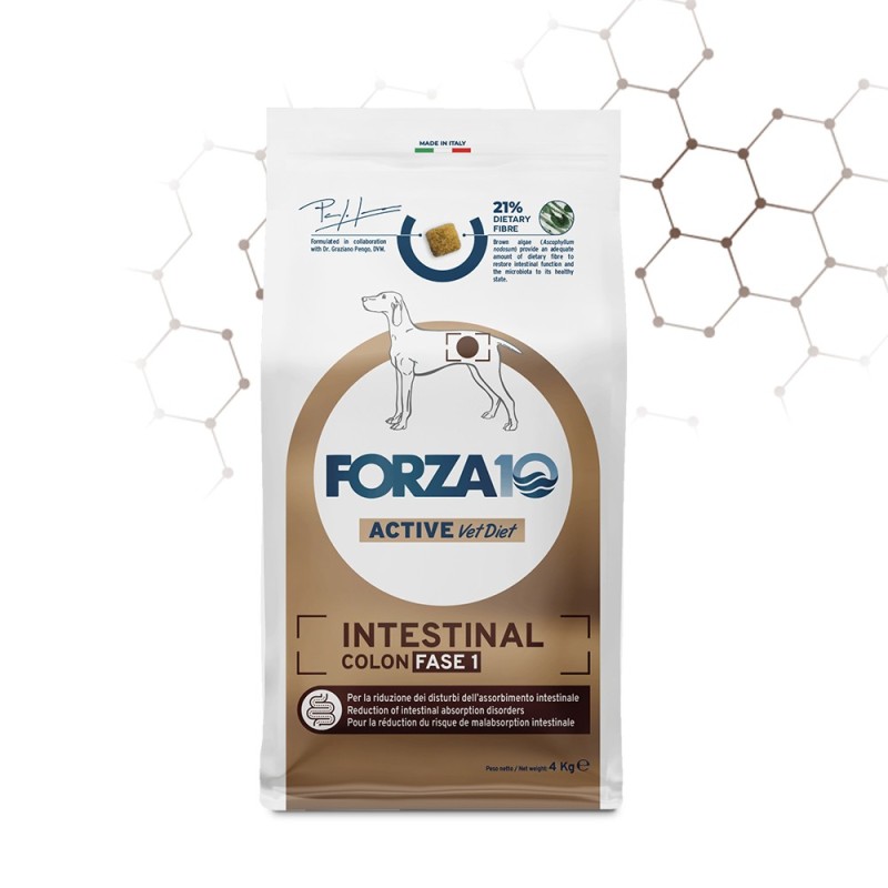 Forza 10 Active Line Intestinal Colon Fase I Pesce Crocchette cane da kg 10