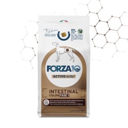 Forza 10 Active Line Intestinal Colon Fase I Pesce Crocchette cane da kg 10