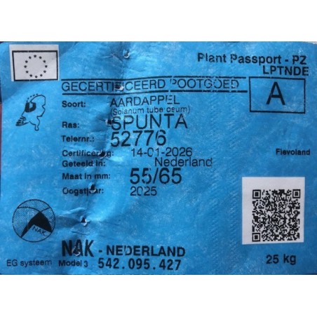 Patate da Semina Spunta Pezzatura 55/65 certificata Olandese HZPC Tuberi al kg Pasta Gialla 