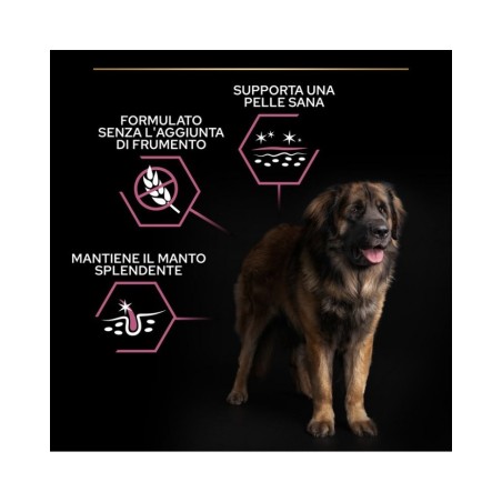 Purina Pro Plan Sensitive Skin Large Robust Adult Salmone da kg 14