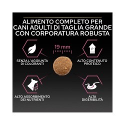 Purina Pro Plan Sensitive Skin Large Robust Adult Salmone da kg 14