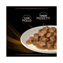 Purina Pro Plan Veterinary Diets Feline NF Renal Function Early Care Pollo 85 gr Umido Gatti