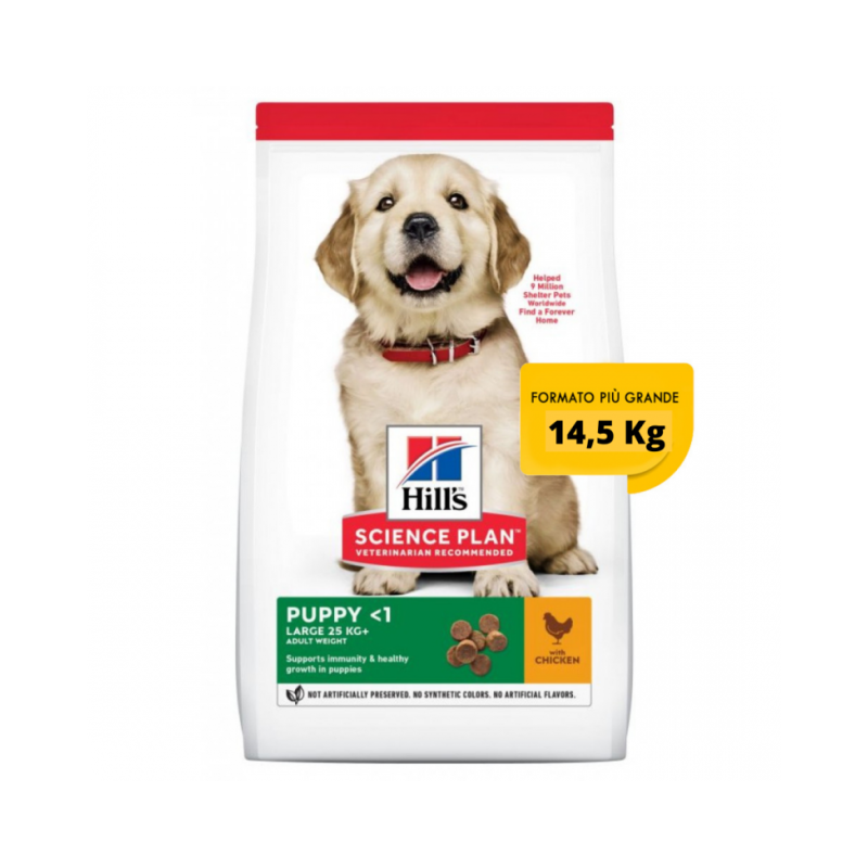 Hill's Science Plan Puppy Healthy Development Large Breed Pollo 14,5 Kg secco ex 12 kg OFFERTA € 3,80 / kg