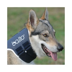 Collare rigido Balto BT NECK Taglia XS Ø 25/35