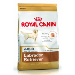 Royal Canin Labrador Retriever Adult 30 da kg 12 OFFERTA !!!