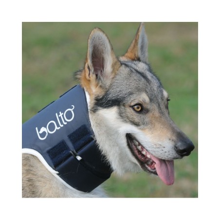 Collare rigido Balto BT NECK Taglia L  Ø 55/65